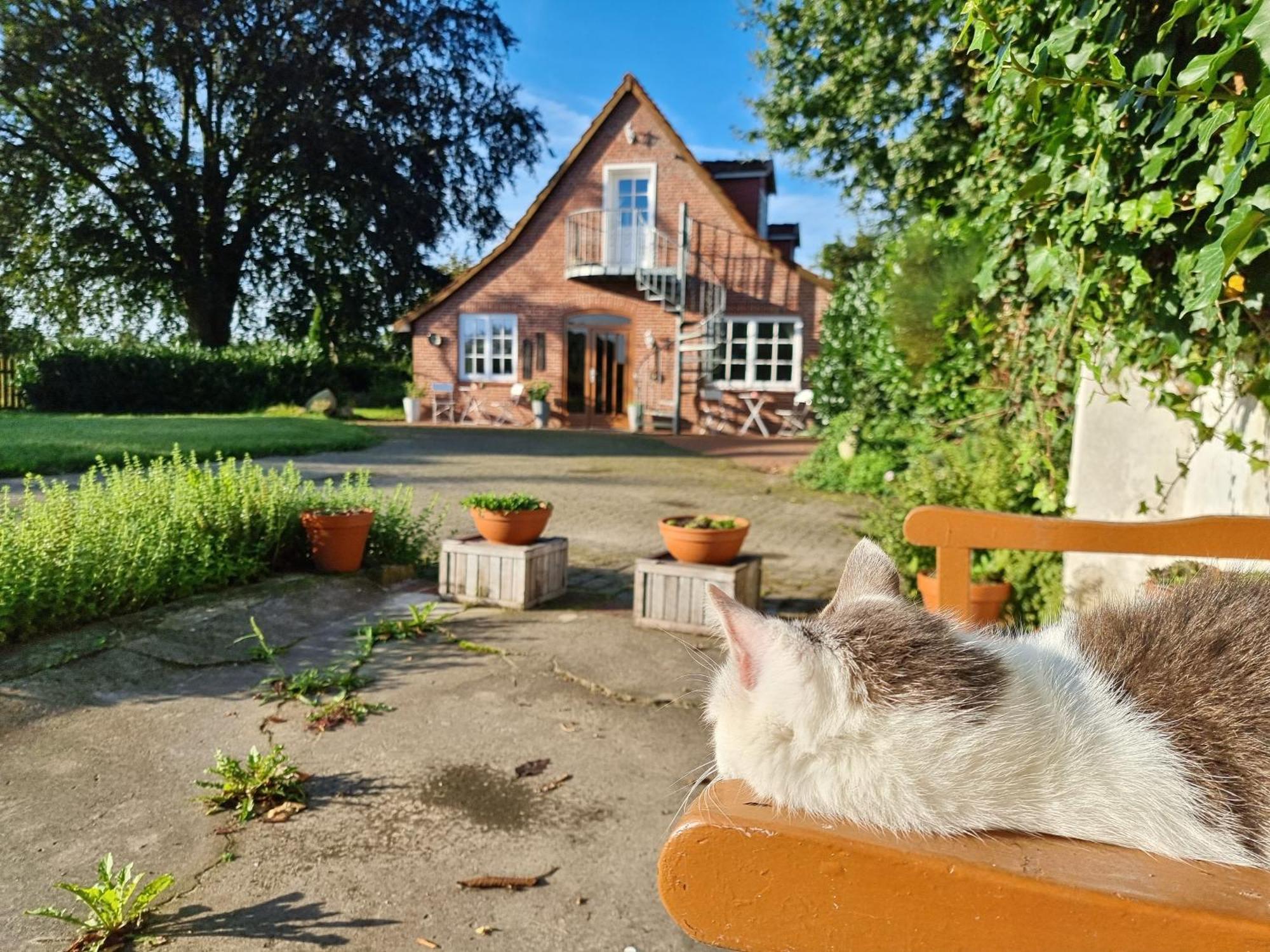 200 Jahre Altes Landhaus Mit Tieren Goldenstedt Exteriör bild